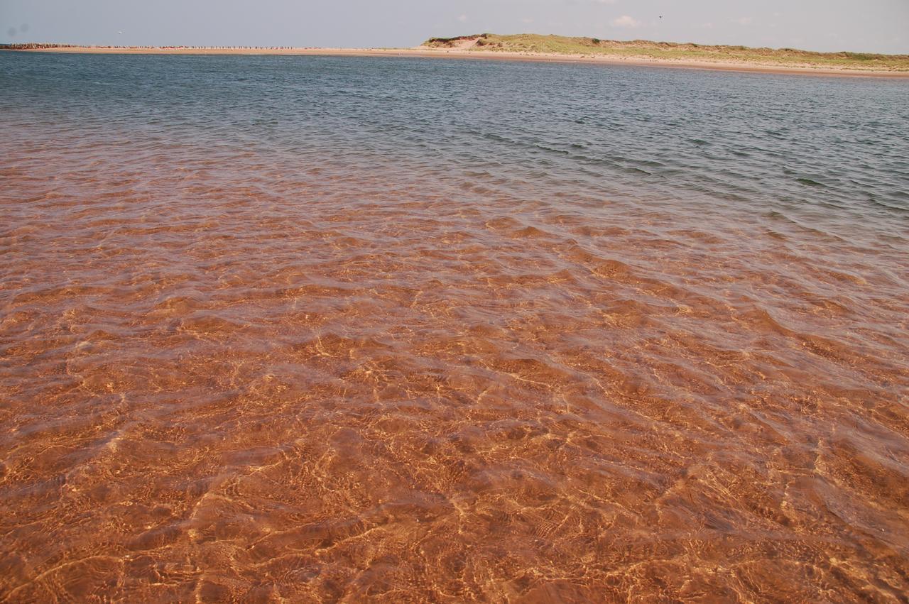 Goodview Cottages By Stanhope Beach Pei For Adults Only المظهر الخارجي الصورة
