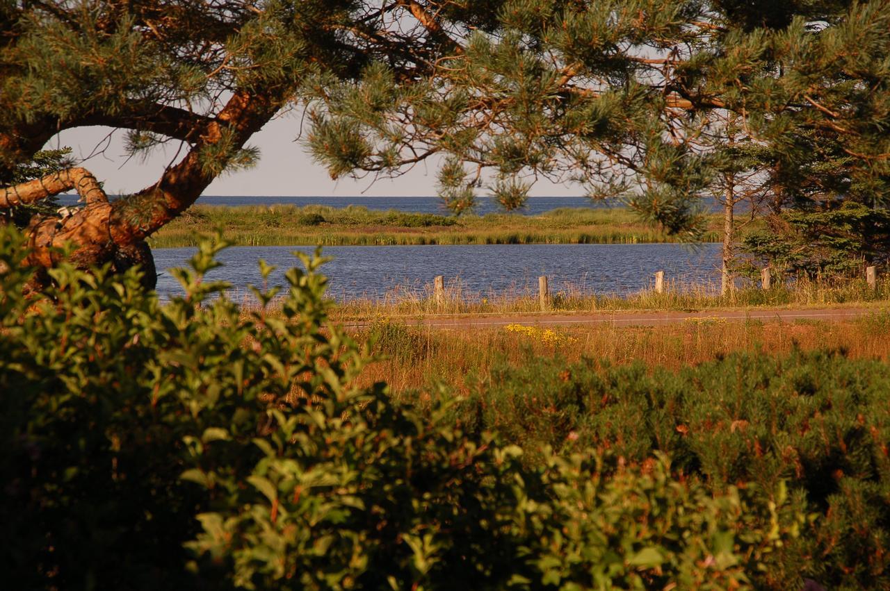 Goodview Cottages By Stanhope Beach Pei For Adults Only المظهر الخارجي الصورة