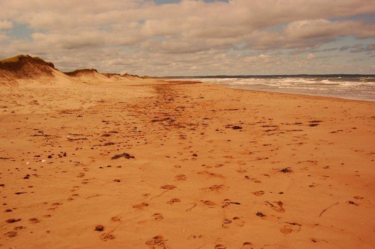 Goodview Cottages By Stanhope Beach Pei For Adults Only المظهر الخارجي الصورة